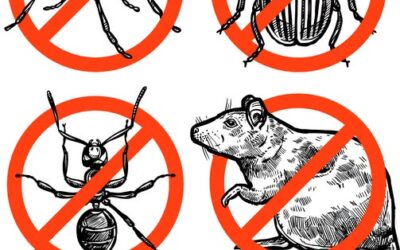 | Campagne de régulation des nuisibles |